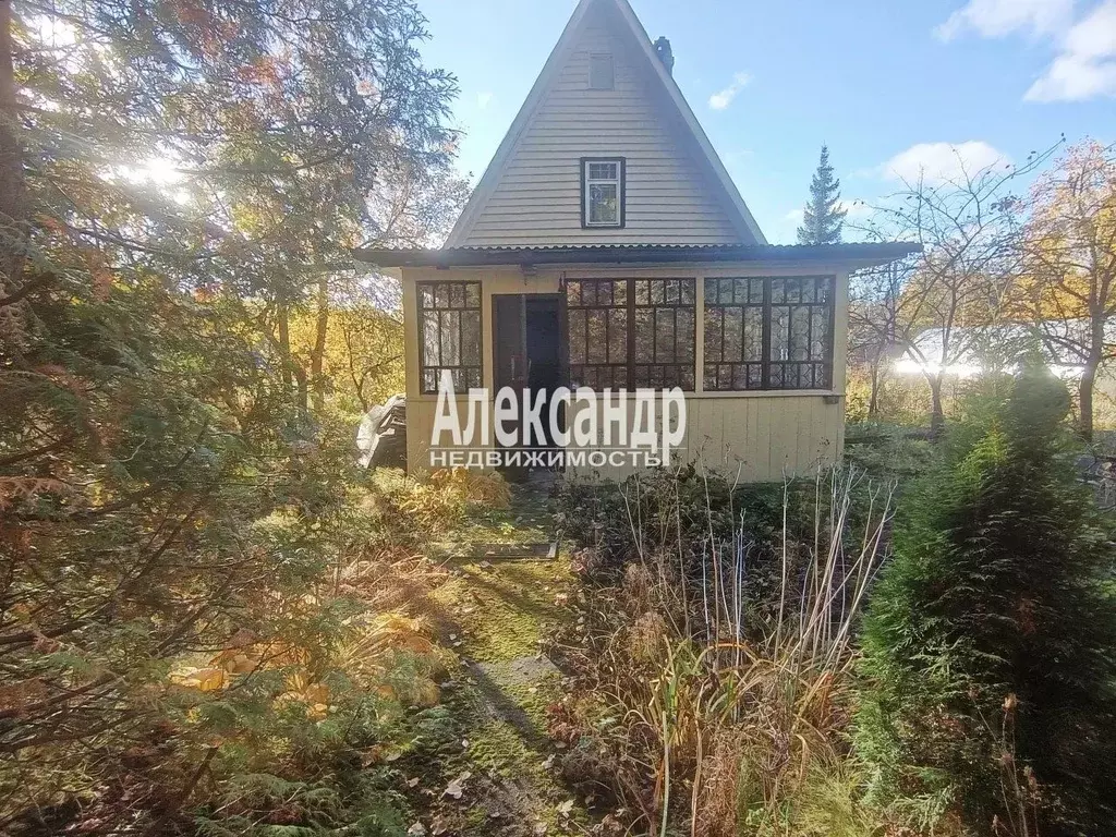 Дом в Ленинградская область, Выборг Ручьи СНТ, туп. 1-й Оливковый, 6 ... - Фото 1