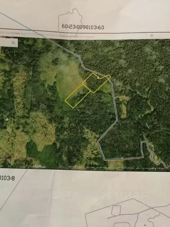 Участок в Псковская область, Струго-Красненский район, д. Ждани ул. ... - Фото 0