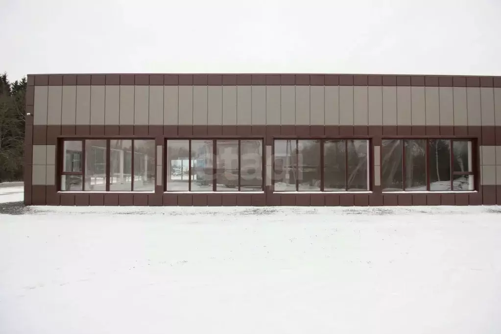 Торговая площадь в Калужская область, Медынь Молодежная ул., 24 (365 ... - Фото 0