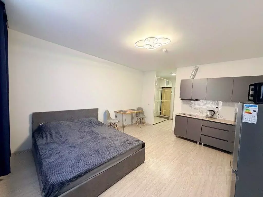 Студия Свердловская область, Екатеринбург ул. Фрунзе, 31/2 (24.0 м) - Фото 1