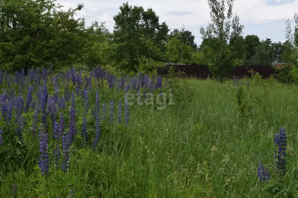 Участок в Калужская область, Калуга городской округ, д. Угра  (8.7 ... - Фото 2