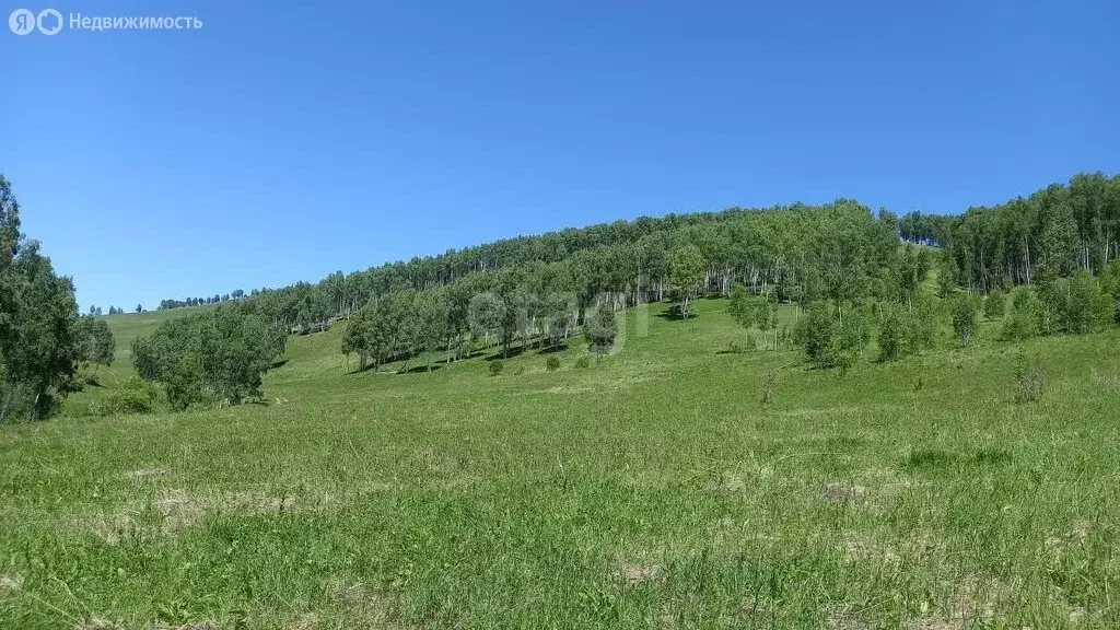 Участок в Алтайский район, село Нижнекаянча (3700 м) - Фото 1