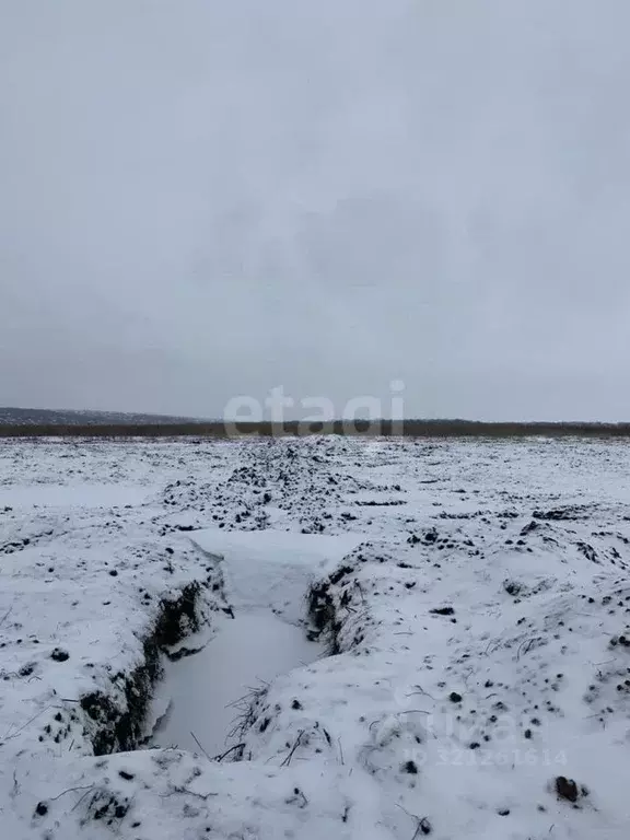 Участок в Белгородская область, Белгородский муниципальный округ, ... - Фото 1