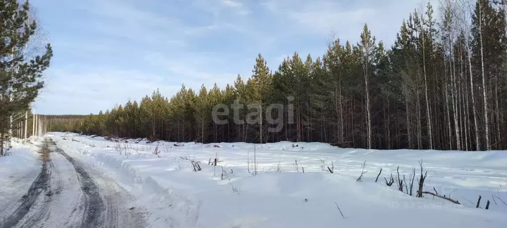 Участок в Свердловская область, Талица Южный-3 мкр,  (15.0 сот.) - Фото 1
