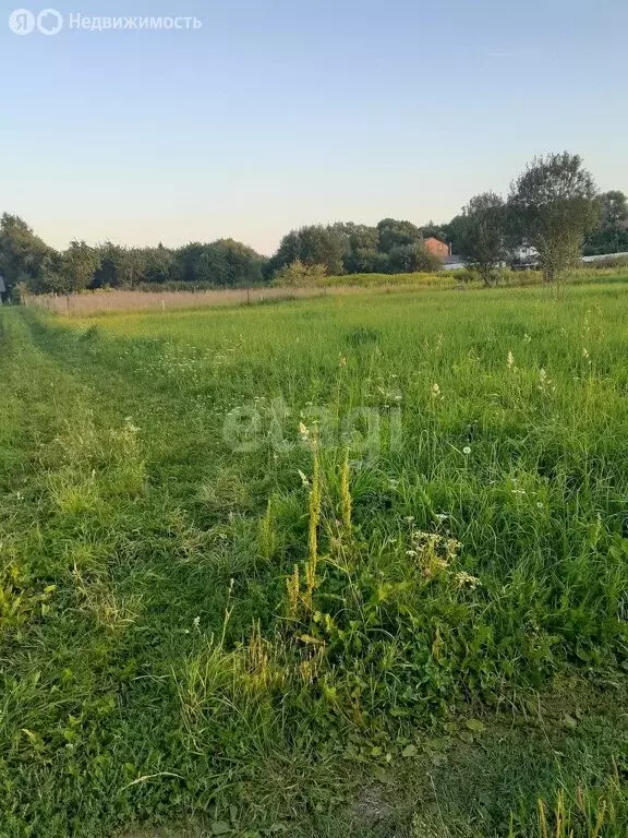 Участок в Дзержинский район, село Дворцы (8 м) - Фото 0