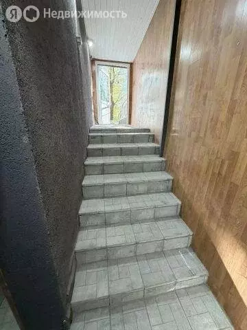 Помещение свободного назначения (37.7 м) - Фото 1