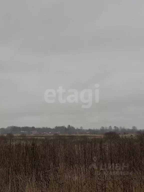 Участок в Ярославская область, Ярославский муниципальный округ, ... - Фото 1