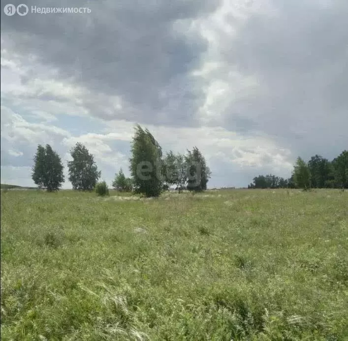 Участок в Вологодская область, Кириллов (145 м) - Фото 0