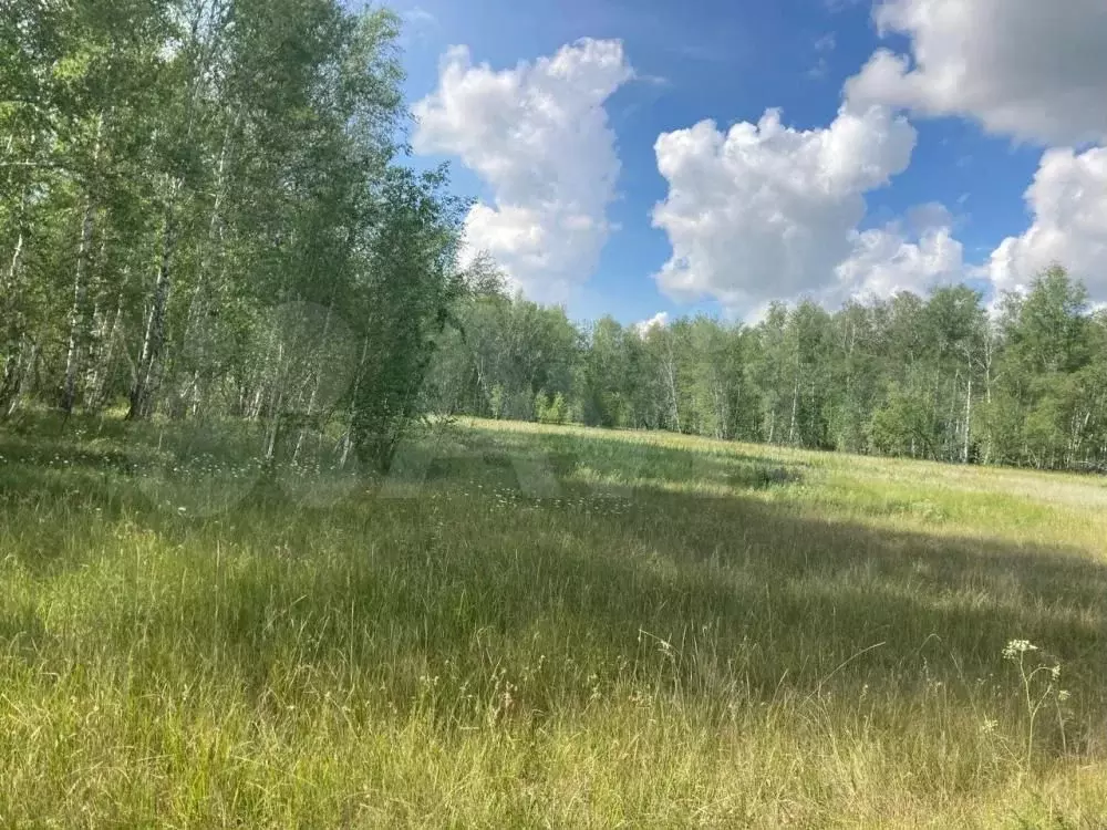 Участок 18 сот. (ИЖС) - Фото 0