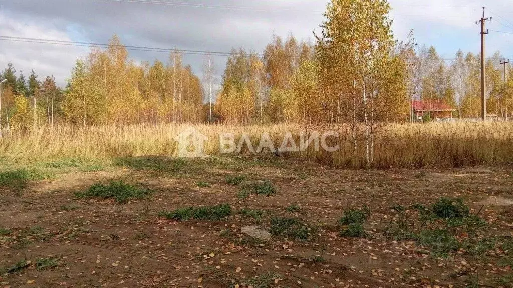 Участок в Рязанская область, Рязанский район, пос. Мурмино  (15.0 ... - Фото 0