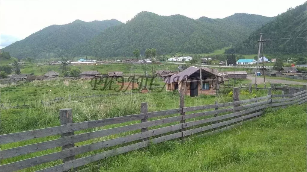 Дом в Алтай, Шебалинский район, с. Мыюта Российская ул. (20 м) - Фото 0