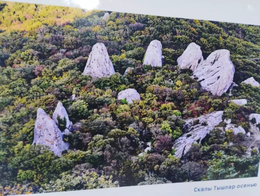 Участок в Севастополь Айва СТ,  (10.0 сот.) - Фото 0