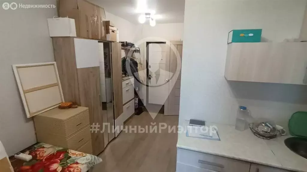 Квартира-студия: Дядьково, Зелёная улица, 19 (22 м) - Фото 0