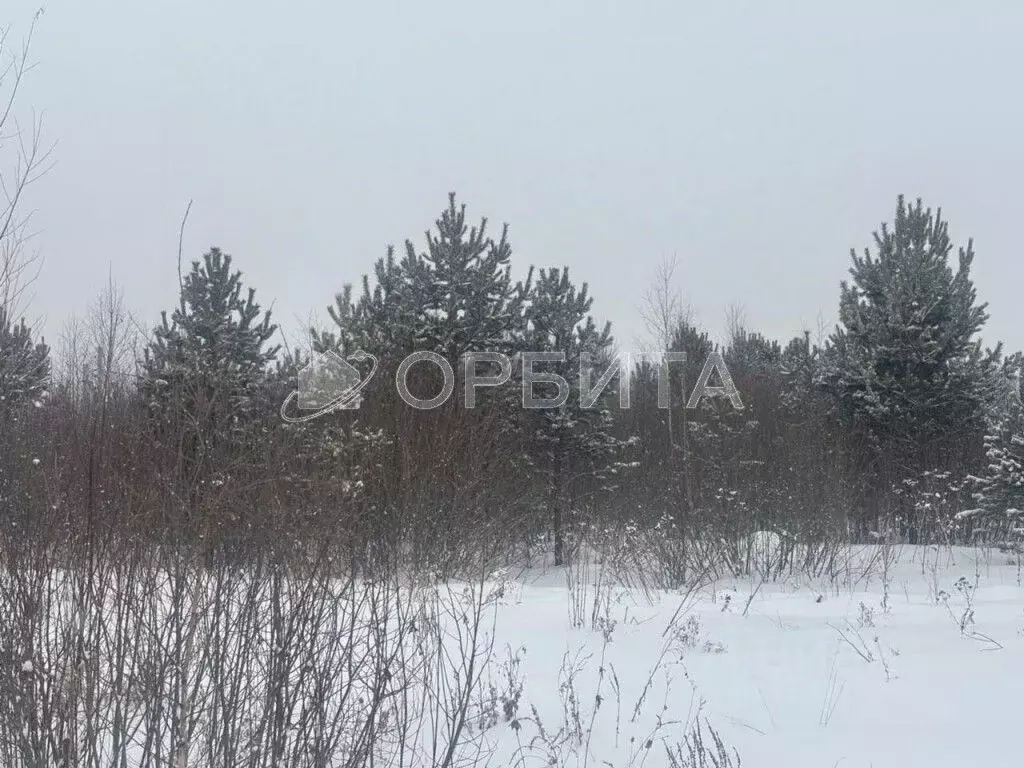 Участок в Тюменская область, Тюменский район, д. Марай  (7.5 сот.) - Фото 0