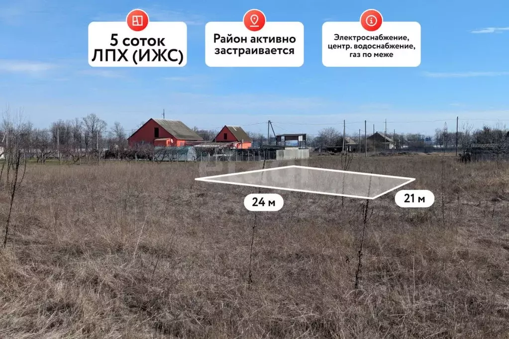 Участок в Краснодарский край, Темрюкский район, Краснострельское ... - Фото 1