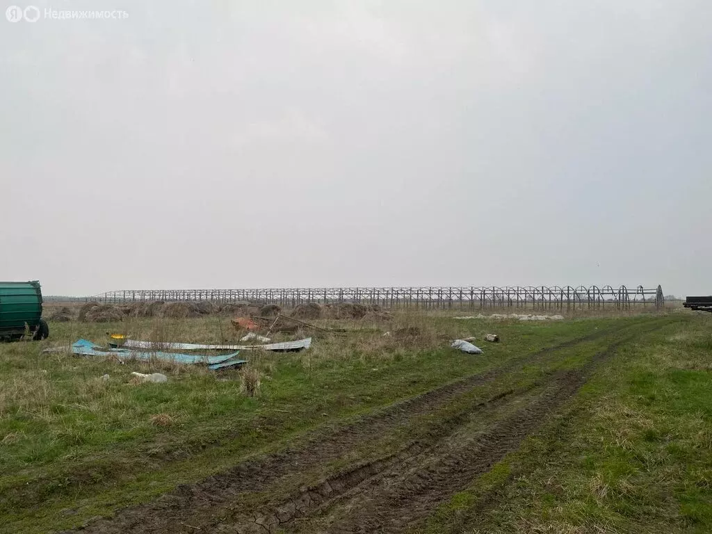Участок в Амурская область, Белогорский муниципальный округ, село ... - Фото 0