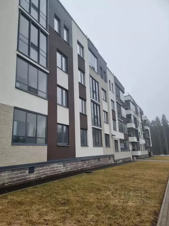1-к кв. Ленинградская область, Сертолово Всеволожский район, Черная ... - Фото 1