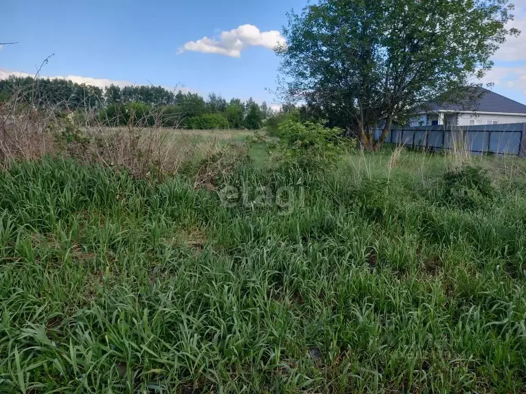 Участок в Белгородская область, Губкинский городской округ, с. ... - Фото 0