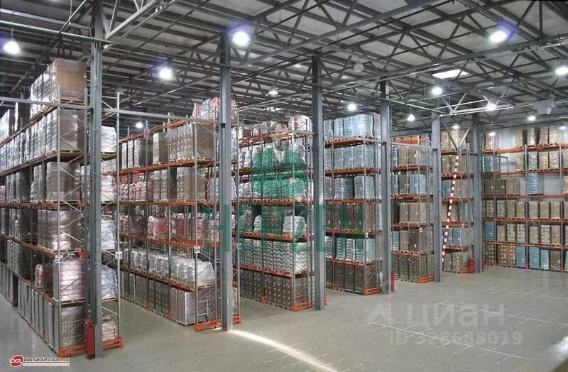 Склад в Московская область, Ступино городской округ, Берегиня СНТ 16 ... - Фото 2