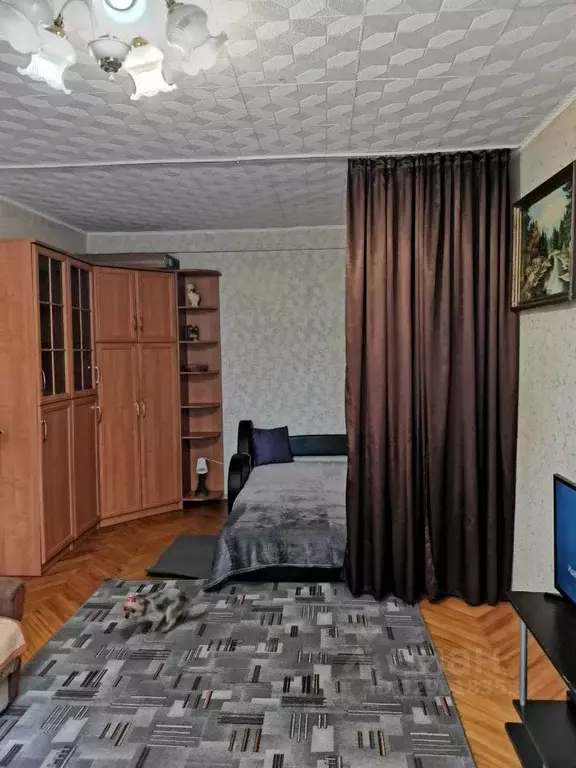 1-к кв. Московская область, Люберцы ул. Кирова, 41 (32.4 м) - Фото 2