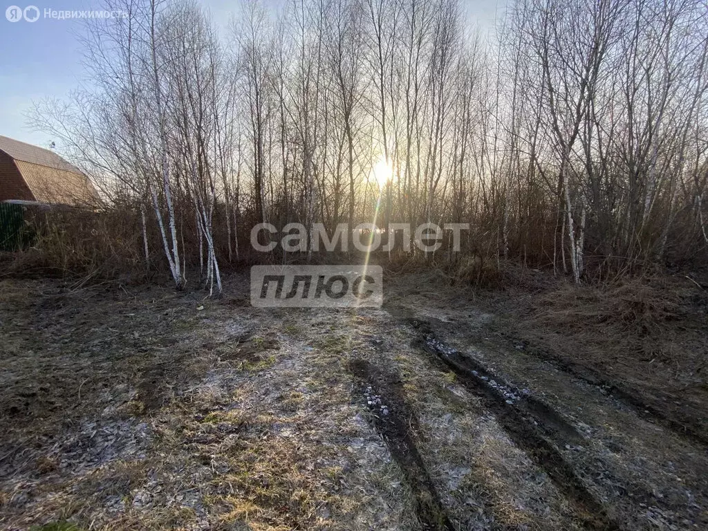 Участок в Искитим, садовое товарищество Зелёный Бор (5.34 м) - Фото 1