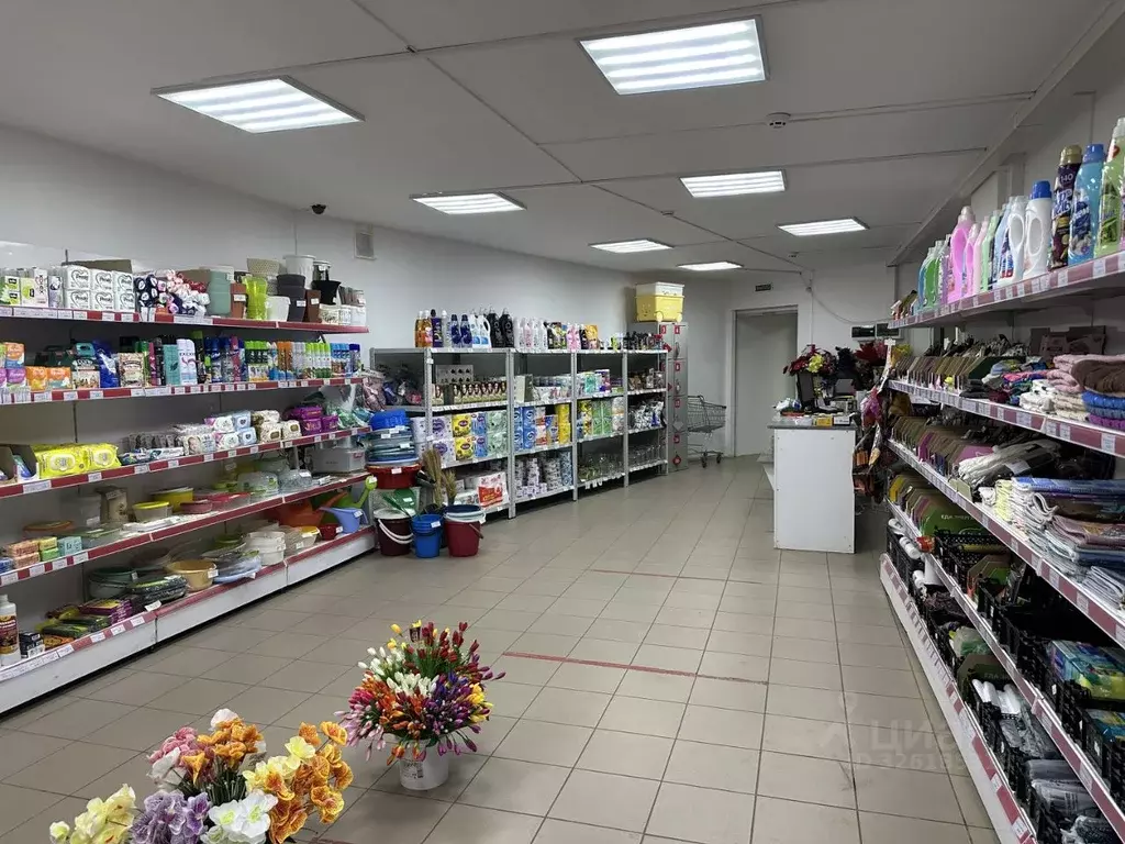 Торговая площадь в Тульская область, Донской Северо-Задонск мкр, ... - Фото 1