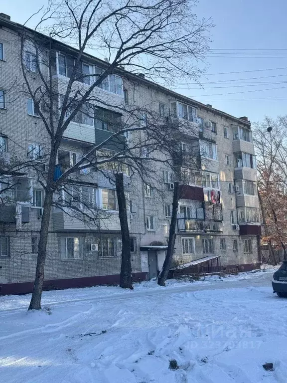1-к кв. Хабаровский край, Хабаровск ул. Суворова, 15А (21.0 м) - Фото 1