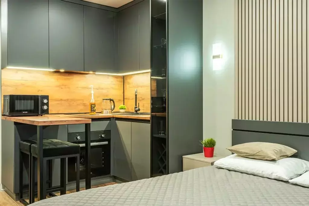 Студия Московская область, Жуковский ул. Баженова, 4/2 (24.0 м) - Фото 2