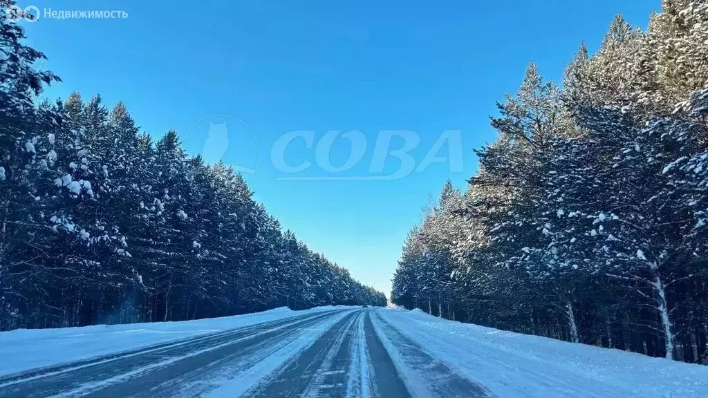 Участок в Тюменский муниципальный округ, посёлок городского типа ... - Фото 2