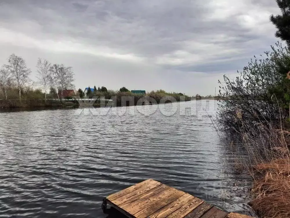 Участок в Новосибирская область, Колыванский район, Металлург СНТ ул. ... - Фото 1