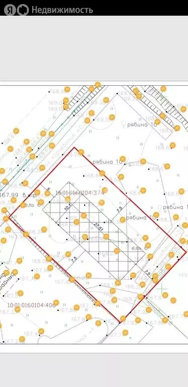 Участок в Петрозаводск, Ужесельгский проезд (1000 м) - Фото 1