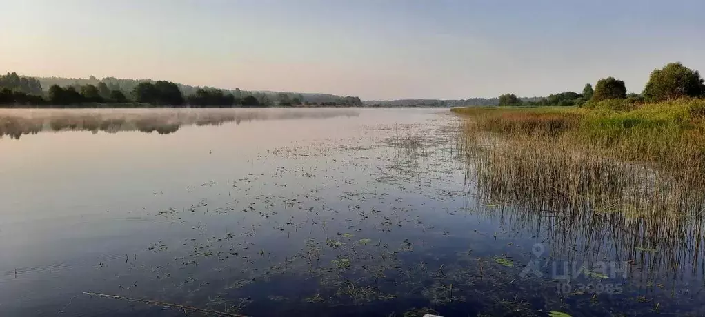 Участок в Тверская область, Кимрский муниципальный округ, д. Романово  ... - Фото 1