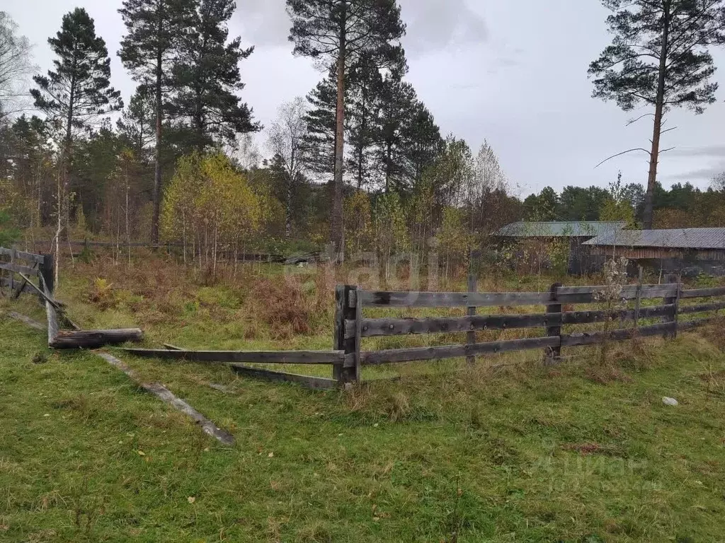 Участок в Алтай, Турочакский район, с. Турочак Луговая ул. (10.5 сот.) - Фото 2