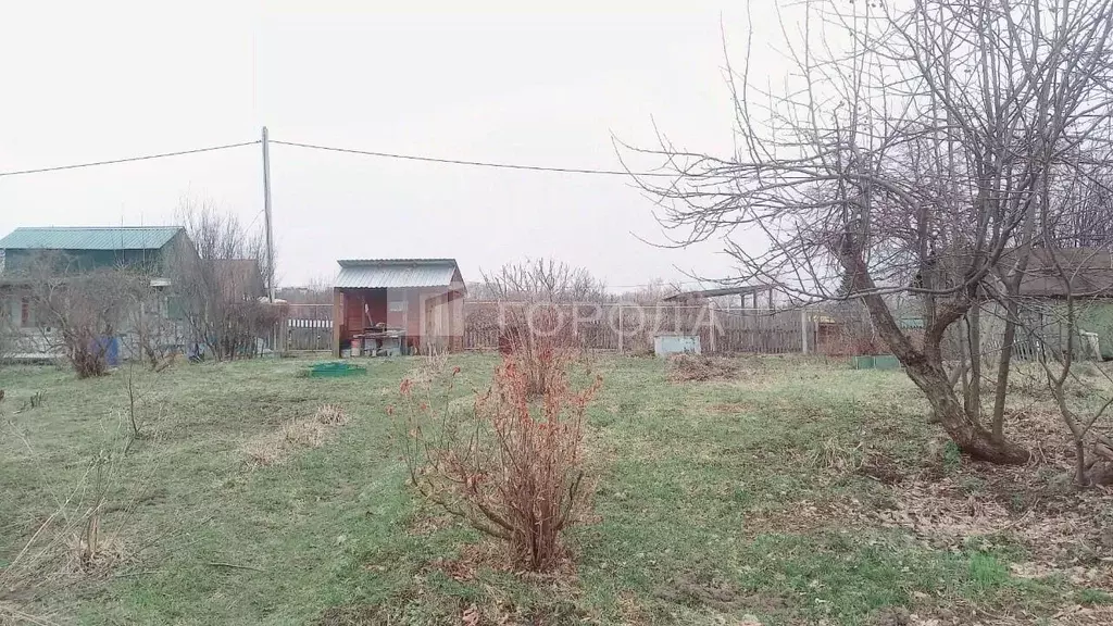 Участок в Томская область, Томск Мичуринец садовое товарищество, ул. ... - Фото 0