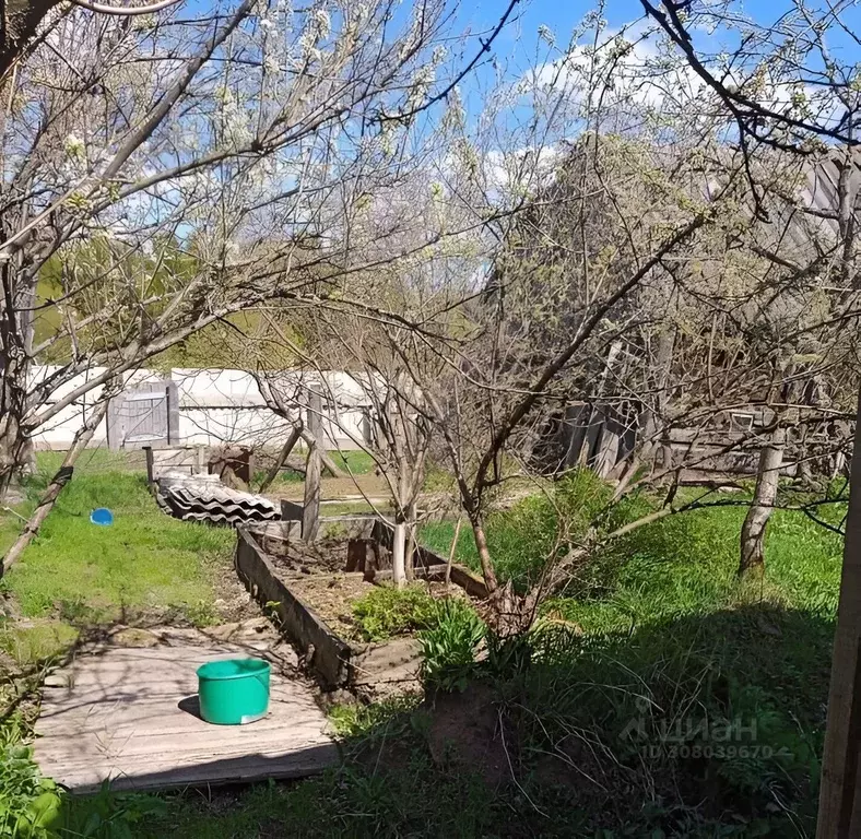 Дом в Свердловская область, Шалинский городской округ, пос. Илим ул. ... - Фото 1