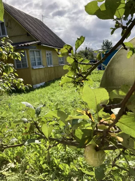 Дом в Ленинградская область, Гатчинский муниципальный округ, Кобрино ... - Фото 2