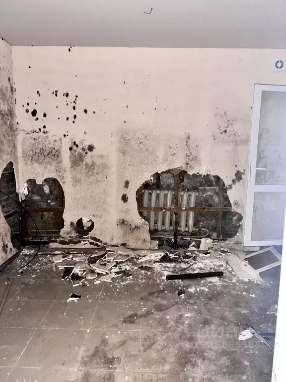 Помещение свободного назначения в Крым, Симферополь ул. Тургенева, 52 ... - Фото 0