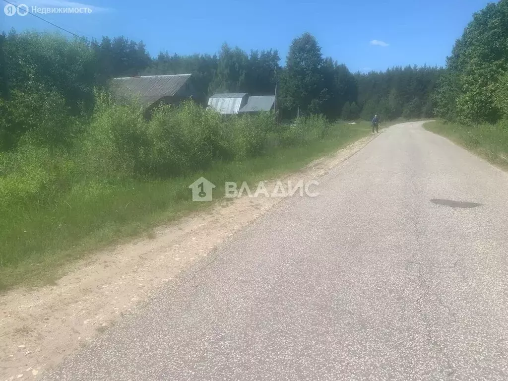 Участок в Суздальский район, муниципальное образование Селецкое, ... - Фото 1