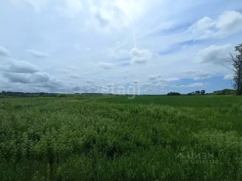 Участок в Амурская область, Благовещенский район, с. Волково  (8.5 ... - Фото 0