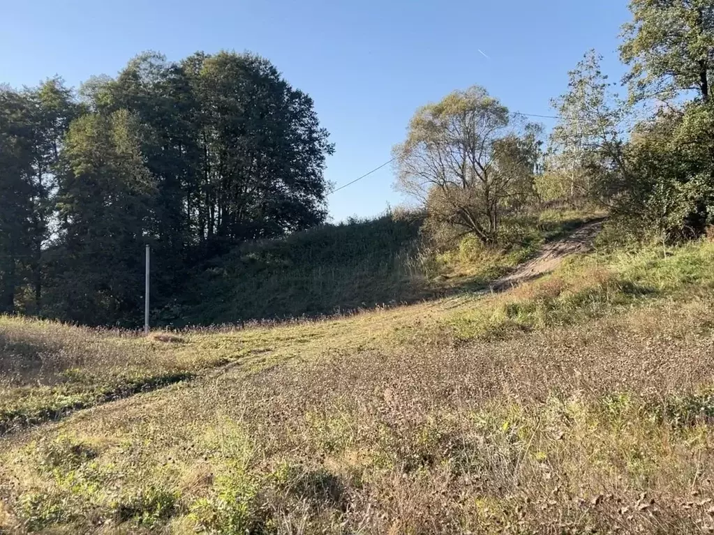 Участок в Московская область, Раменский городской округ, с. Зеленая ... - Фото 0