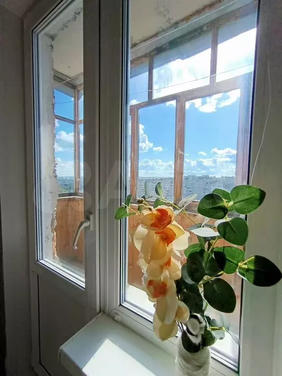 1-к. квартира, 28 м, 8/9 эт. - Фото 0