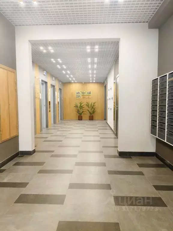 3-к кв. Новосибирская область, Новосибирск ул. Гаранина, 43 (54.1 м) - Фото 1