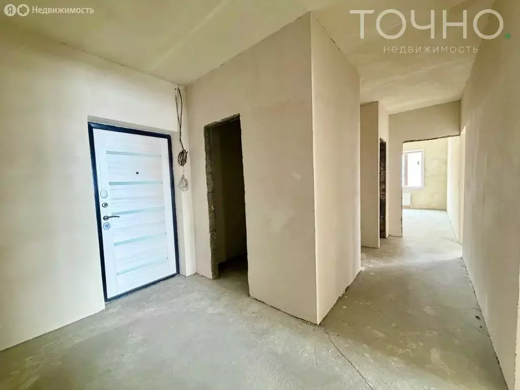 3-комнатная квартира: село Засечное, Центральная улица, 18 (92.16 м) - Фото 1