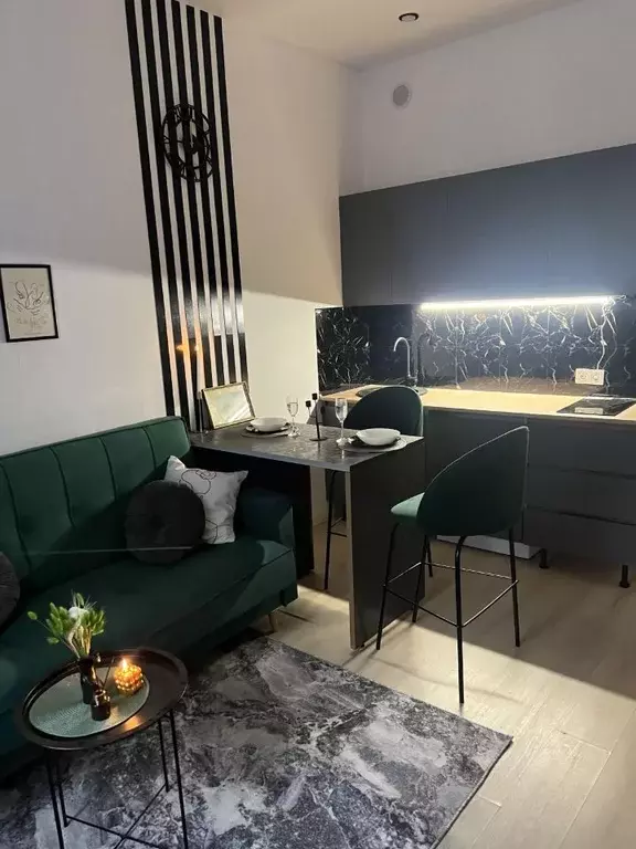 Студия Московская область, Люберцы Октябрьский просп., 403 (17.0 м) - Фото 2