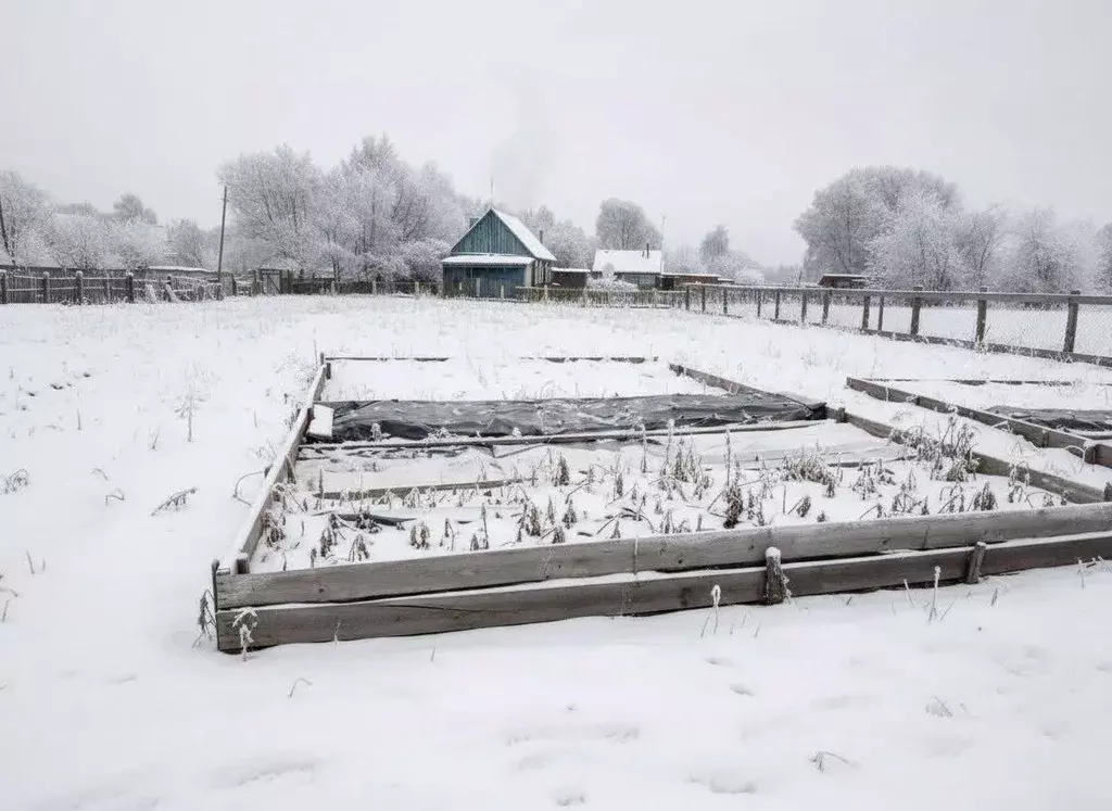 Дом в Амурская область, Ивановский муниципальный округ, с. Березовка ... - Фото 2
