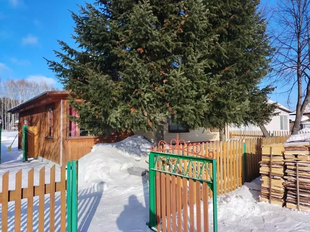 Дом в Томская область, Кожевниковский район, с. Киреевск Набережная ... - Фото 1