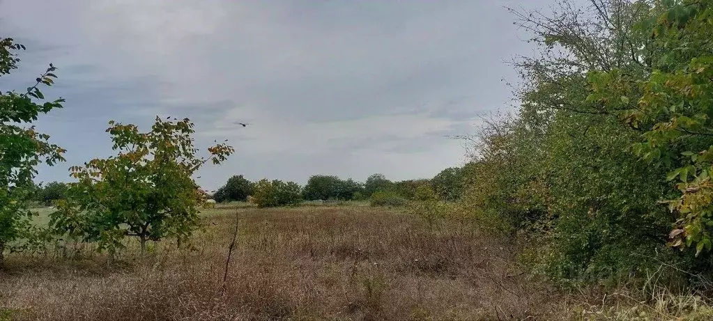 Участок в Краснодарский край, Северский район, Львовское с/пос, с. ... - Фото 2