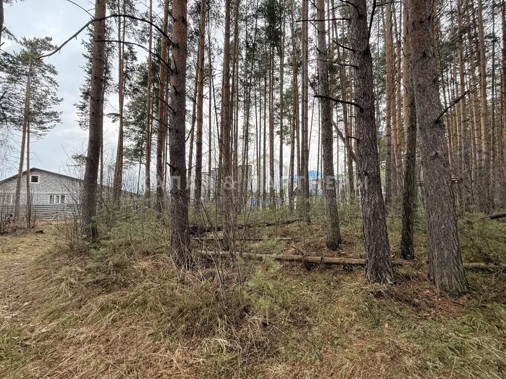 Участок в Свердловская область, Полевской муниципальный округ, с. ... - Фото 2