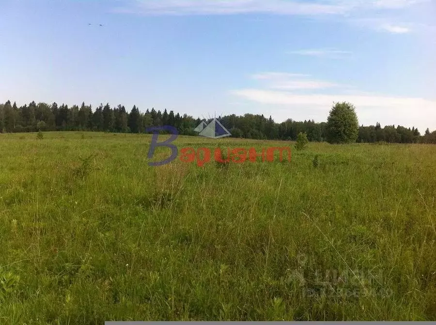 Участок в Челябинская область, Чебаркульский муниципальный округ, с. ... - Фото 1