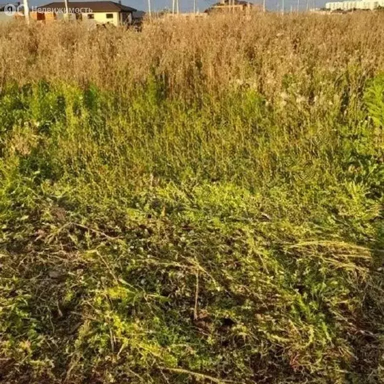 Участок в село Мариинский, Сосновая улица, 20 (8 м) - Фото 0